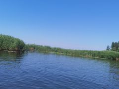 -白洋淀风景区