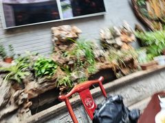 -蔼若春.传承三十年云南菜(金碧公园店)