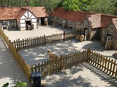 -北京市海淀外国语实验学校