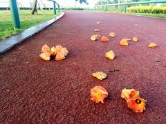 -白沙门生态公园