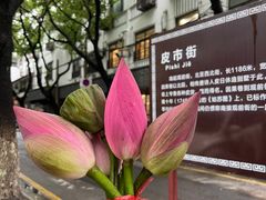 -吴门人家·苏宴宫廷菜(拙政园店)