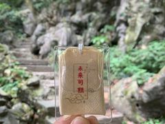 -灵隐飞来峰景区