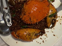 -喜记避风塘炒辣蟹(旗舰店)