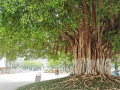 -福建师范大学(仓山校区)