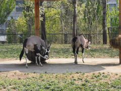 -大连森林动物园