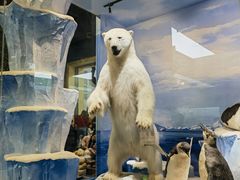 -国家自然博物馆