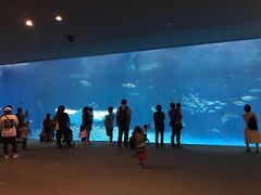 -鹿儿岛水族馆