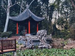 -深圳国际园林花卉博览园