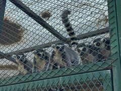 -水上乐园·欢乐世界