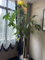 -禾颜社·精致美容