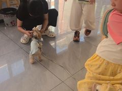 -俺家菜馆(百里峡店)