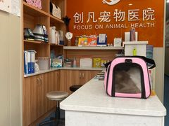 -创凡宠物医院·骨专科  猫科中心(西乡分院)