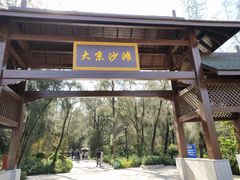 -大京沙滩