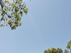 -上海鲜花港
