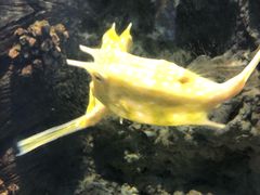 -福州罗源湾海洋世界旅游区