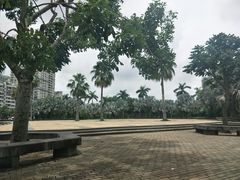 -霞山观海长廊