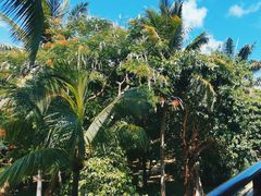 -亚龙湾喜来登·美景台大堂吧
