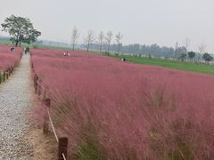 -汉长安城未央宫国家考古遗址公园