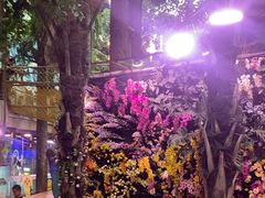 -正佳雨林生态植物园