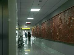 -上海市杨浦区中医医院