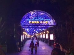 -广州长隆国际大马戏