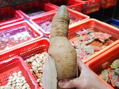 -巽寮印象美食部落餐厅·海鲜·地方特色菜(惠州体验店)