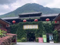 -藏龙百瀑风景区