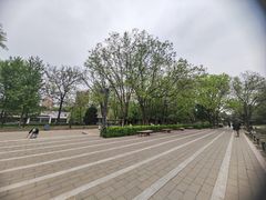 -元大都城垣遗址公园