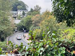 -简象咖啡CAFE ELE JANE(满陇桂雨店)