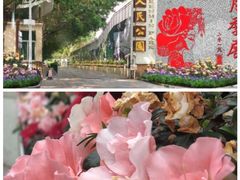 -人民公园(罗湖区)