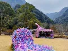 -龙湾潭国家森林公园
