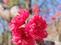 -皇城根遗址公园-东安门遗址