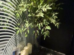 -华夏良子·足道SPA艾灸(图书大厦店)