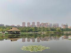 -前关湿地公园