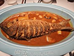 -阿五黄河大鲤鱼(英协路店)
