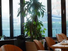 -the rug 飞毯 (朝阳公园店)