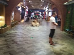 -砂之船奥莱(南京江宁店)