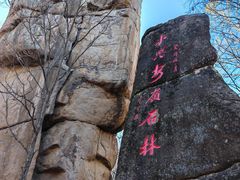 -汤旺河林海奇石景区