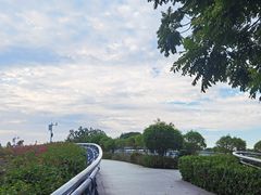 -云溪植物园