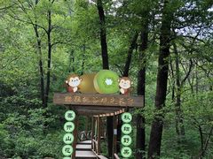-大岭沟猕猴桃谷风景区