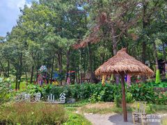-沂蒙山旅游区云蒙景区(蒙山国家森林公园)