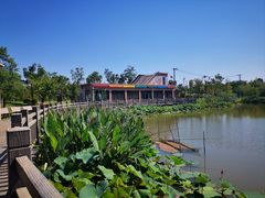 -上海长兴岛郊野公园