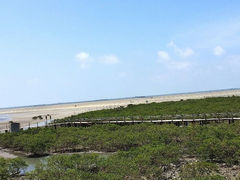 android_upload_pic-北海金海湾红树林生态旅游区