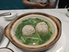 -丁老爷子苏香圆