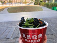 -黑色经典臭豆腐·湖南特产(坡子街特产局店)