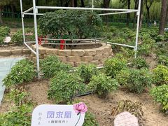-太阳宫公园