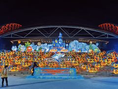 -沈阳奥体冰雪嘉年华
