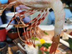 -初花·日本料理