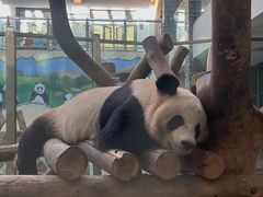 -镇江市南山风景名胜区竹林景区