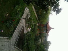 android_upload_pic-临沂动植物园